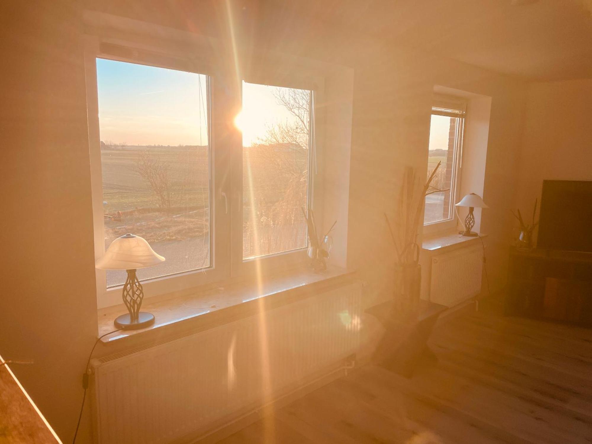 Ferienwohnung Watt'N Deich Nordstrand Dış mekan fotoğraf